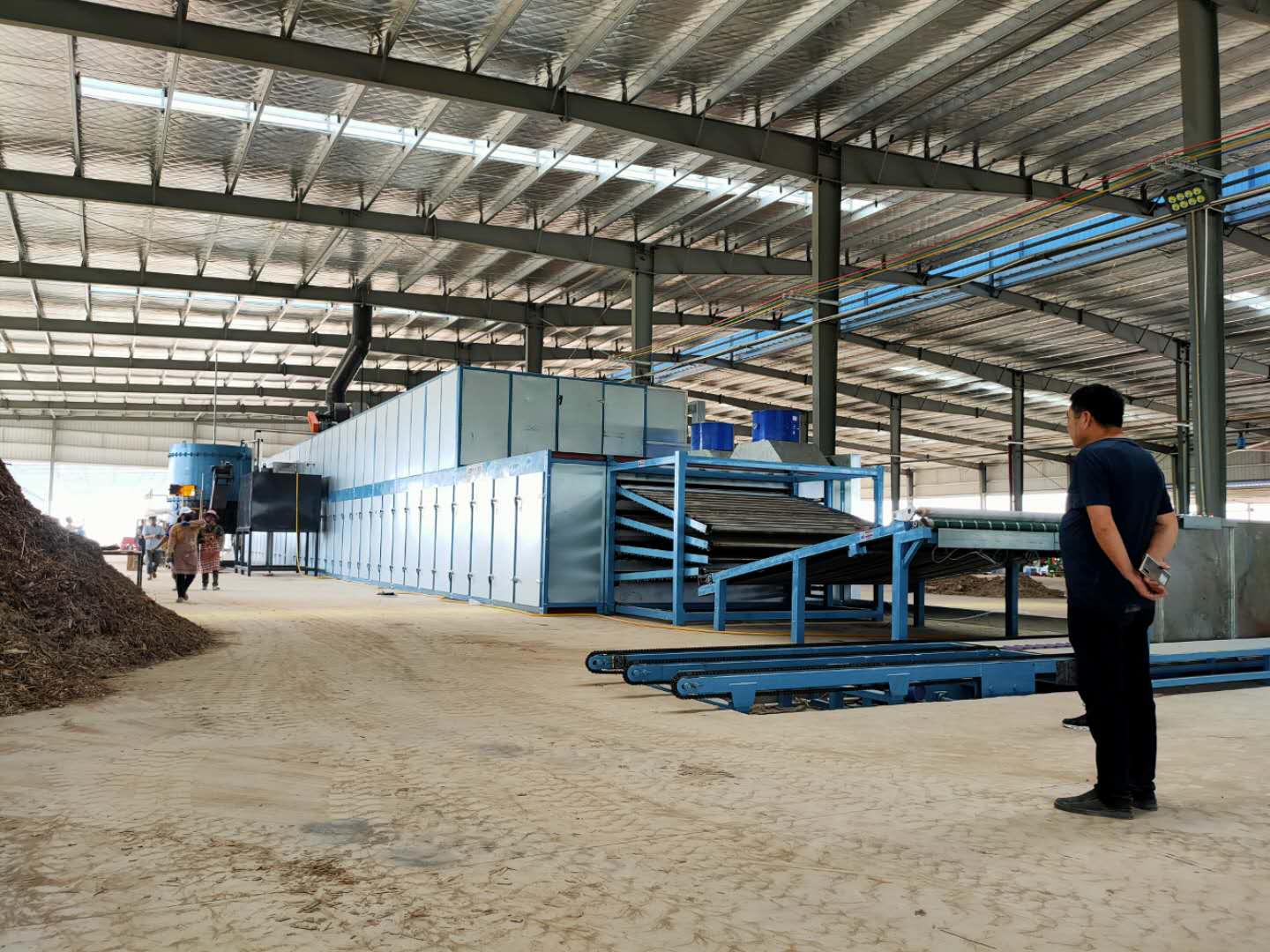 Roll dryer for veneer