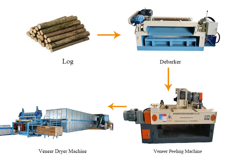 Line for the production and drying of peeled veneer