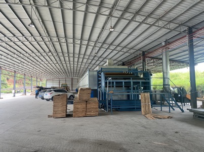 veneer roller dryer