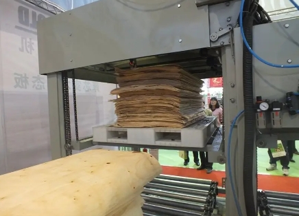 Veneer production lines