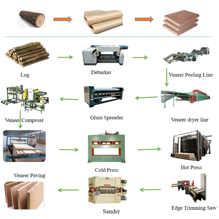 Equipment for plywood production