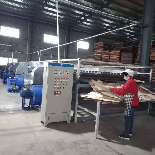 Veneer and plywood dryer