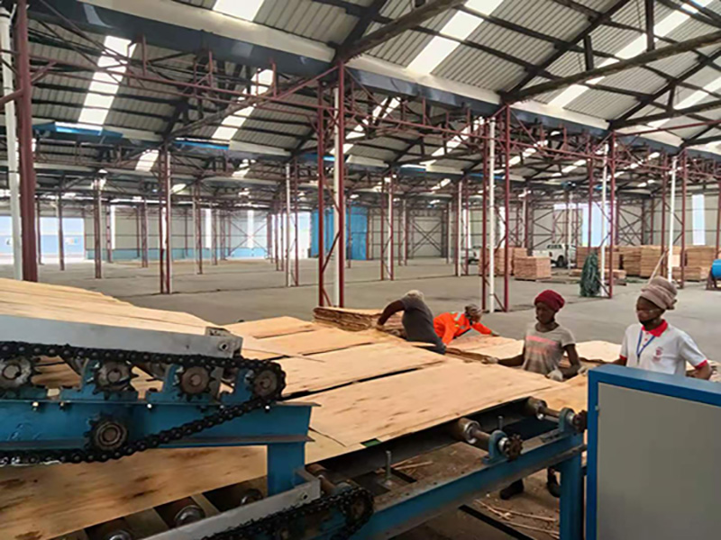 Veneer production lines