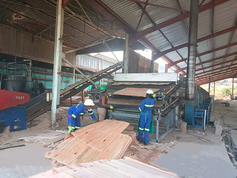 veneer drying equipment