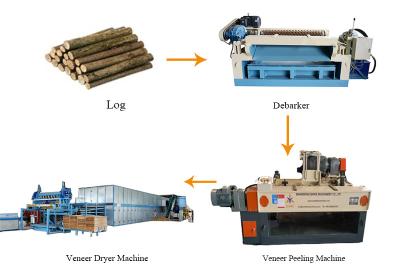 Line for the production and drying of peeled veneer
