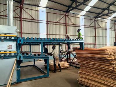 Roller dryer for sliced ​​veneer