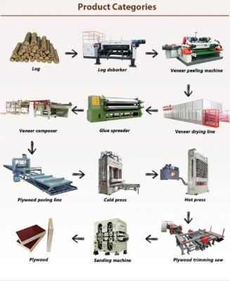 Plywood production lines