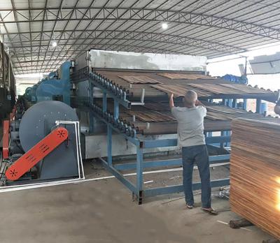 Veneer dryer