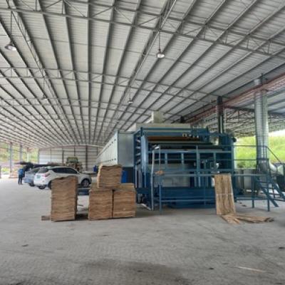 Veneer dryer