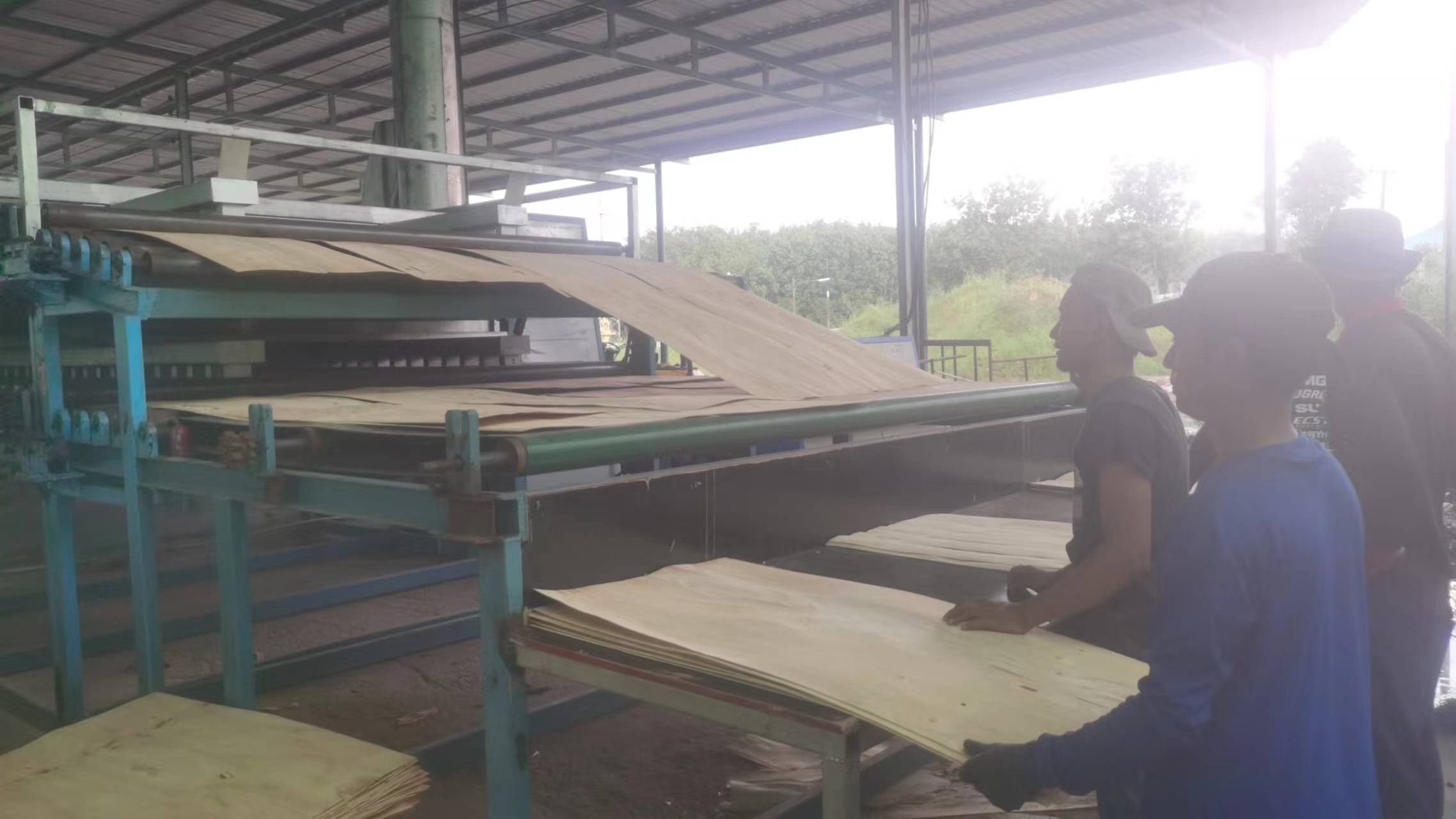 The SHINE roller dryer is designed for drying veneer The SHINE roller dryer is designed for drying veneer