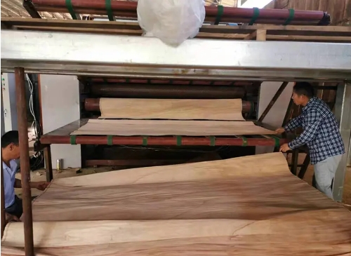 Mesh drying the veneer